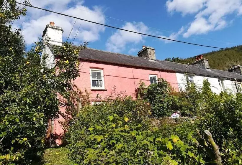 Relaxing Pet Friendly 2 Bed Cottage In Rhandirmwyn