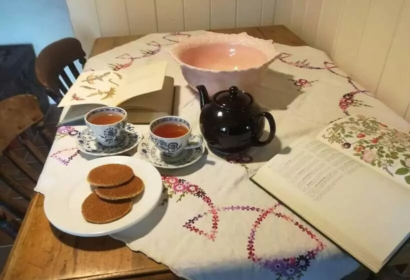 Relaxing Pet Friendly 2 Bed Cottage In Rhandirmwyn