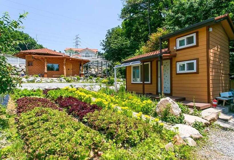 Donghae Red Clay Gueasthouse Pension