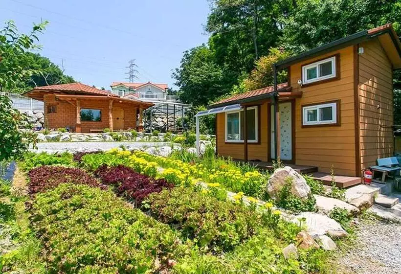 Donghae Red Clay Gueasthouse Pension