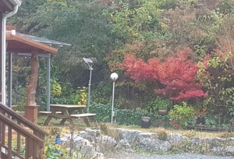 Donghae Red Clay Gueasthouse Pension