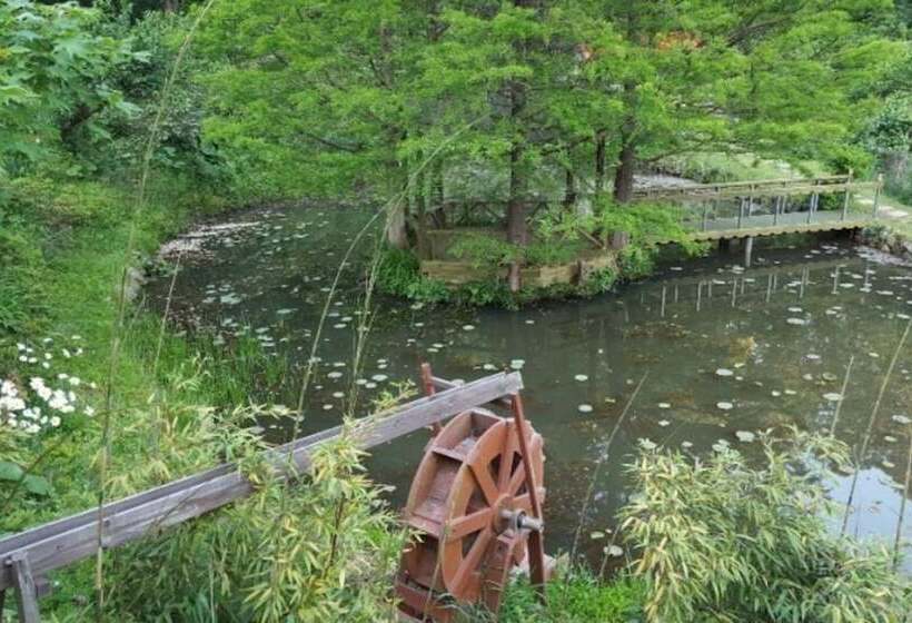 Donghae Red Clay Gueasthouse Pension