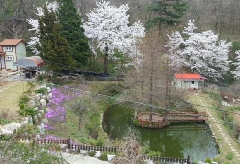 Donghae Red Clay Gueasthouse Pension