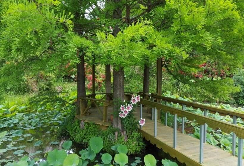 Donghae Red Clay Gueasthouse Pension