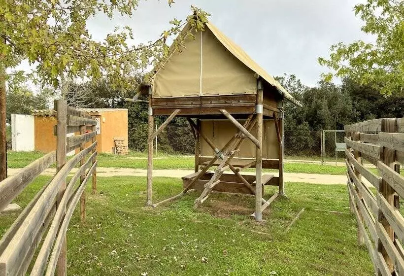 ホテル Camping Rural Montori