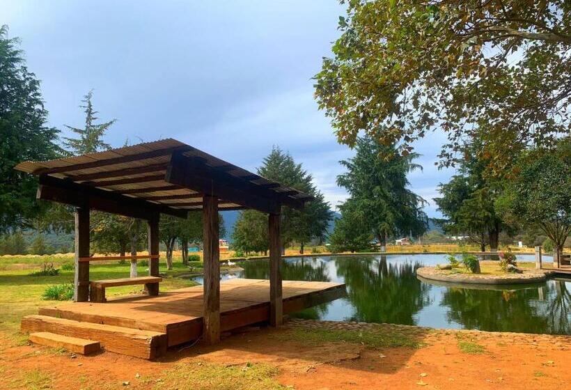 فندق Hacienda Venta De Guadalupe