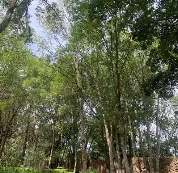 Hotelli Hacienda Venta De Guadalupe