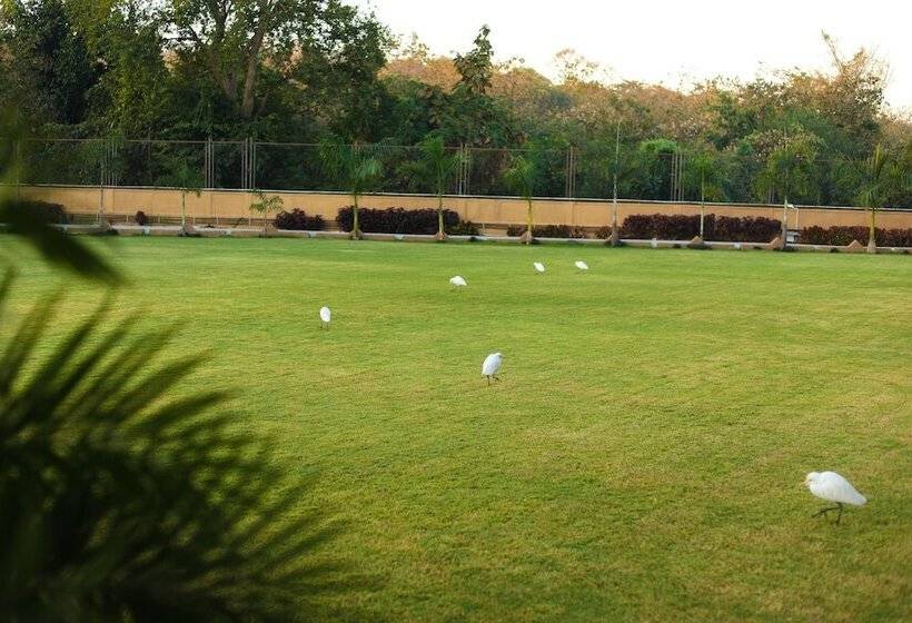 Hotel Jagira Ananta Elite, Gir