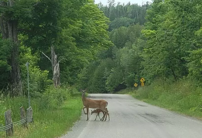 Hotelli Red Lodge Resort