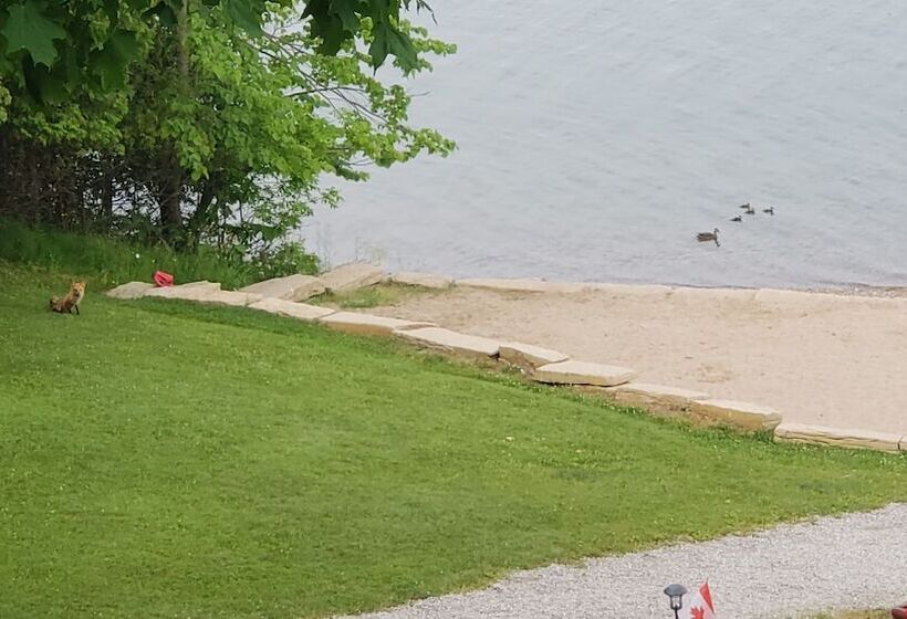 בית מלון כפרי Red Lodge Resort