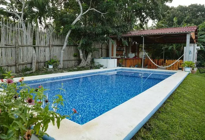 Hotelli Seven Blue House Village & Lodge