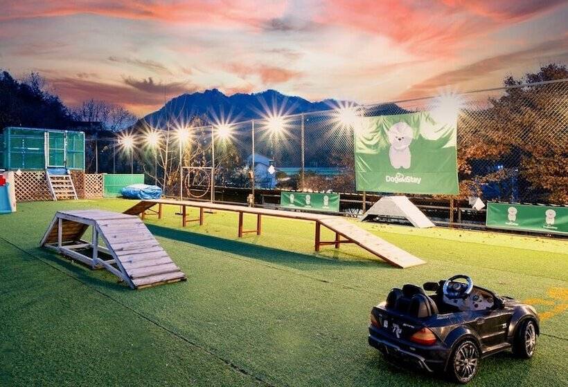 Пансион Chuncheon Dogandstay