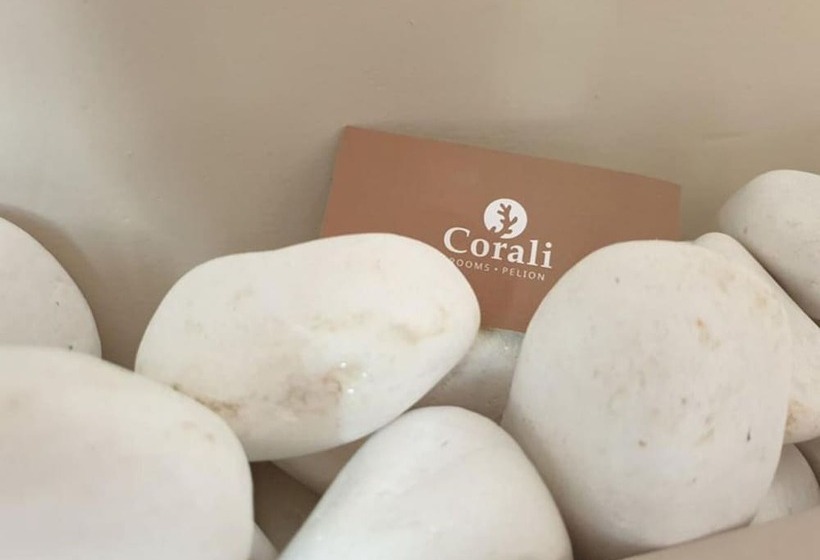 펜션 Corali Rooms Pelion