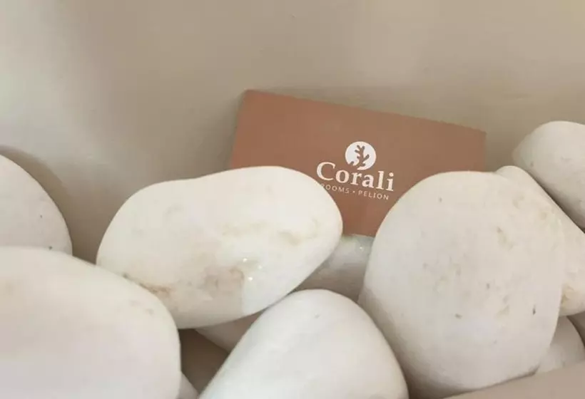 ペンション Corali Rooms Pelion