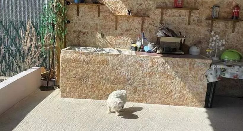 ペンション Eco Studio Flat Kalyvia Thorikou, Greece