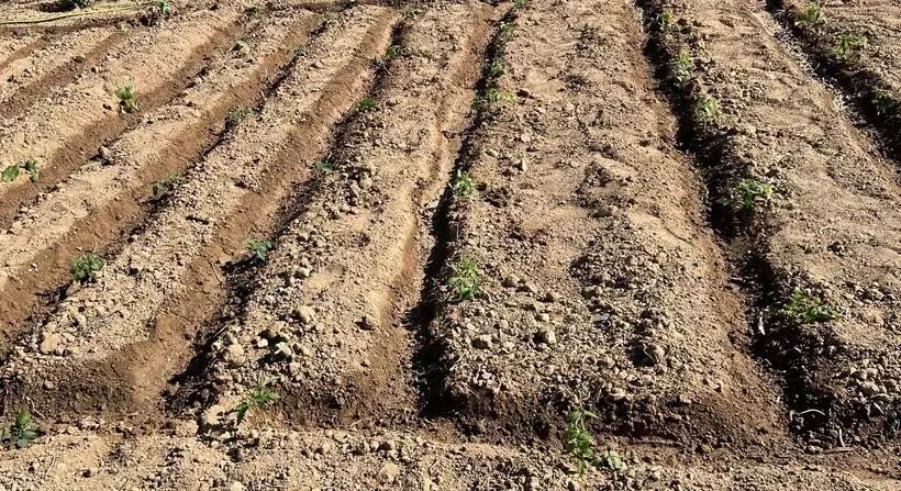 ペンション Eco Studio Flat Kalyvia Thorikou, Greece