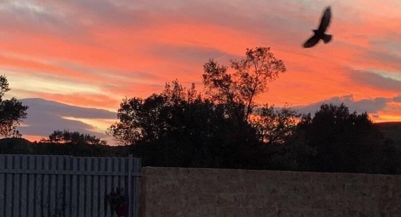 펜션 Eco Studio Flat Kalyvia Thorikou, Greece