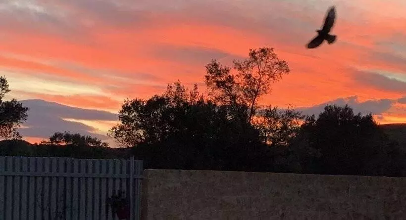 ペンション Eco Studio Flat Kalyvia Thorikou, Greece