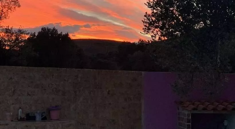 ペンション Eco Studio Flat Kalyvia Thorikou, Greece