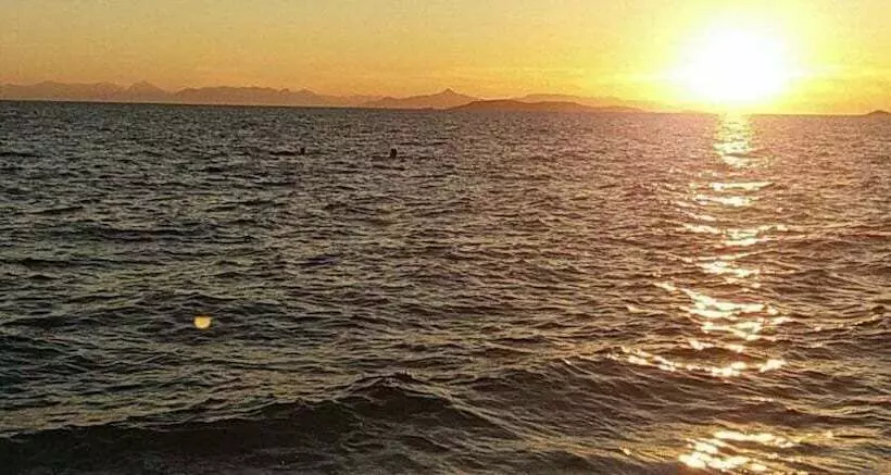 ペンション Eco Studio Flat Kalyvia Thorikou, Greece