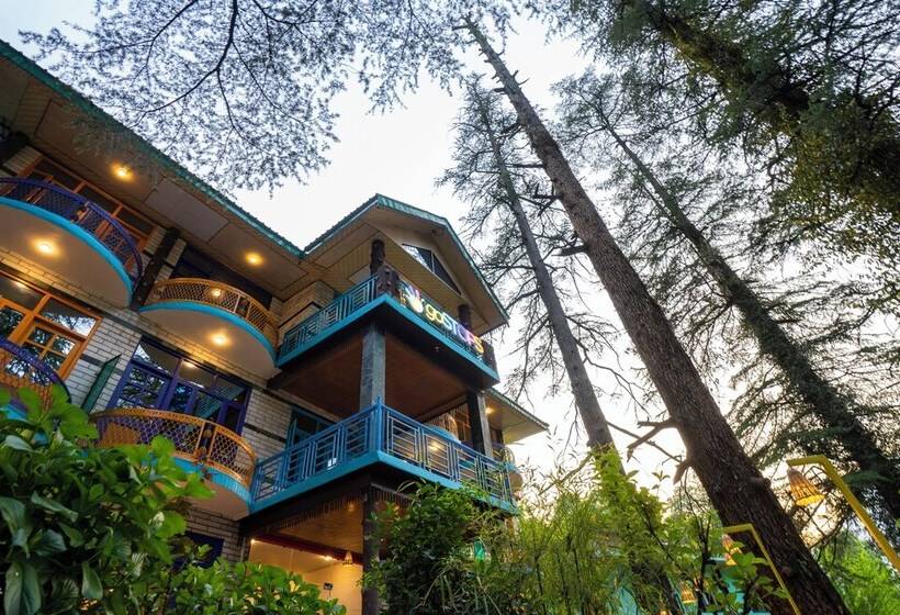 Gostops Kasol   Hostel