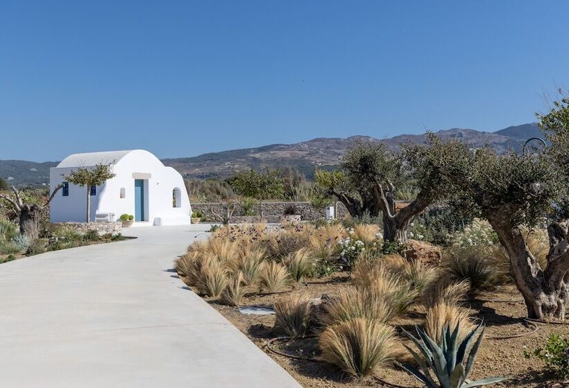 호텔 Blue Pearls   Adults Only