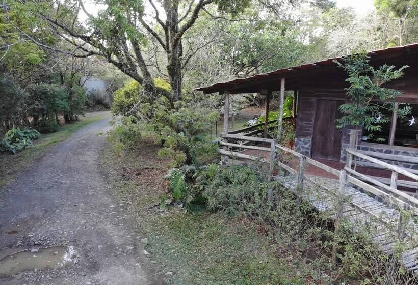 هتل El Bosque Lodging