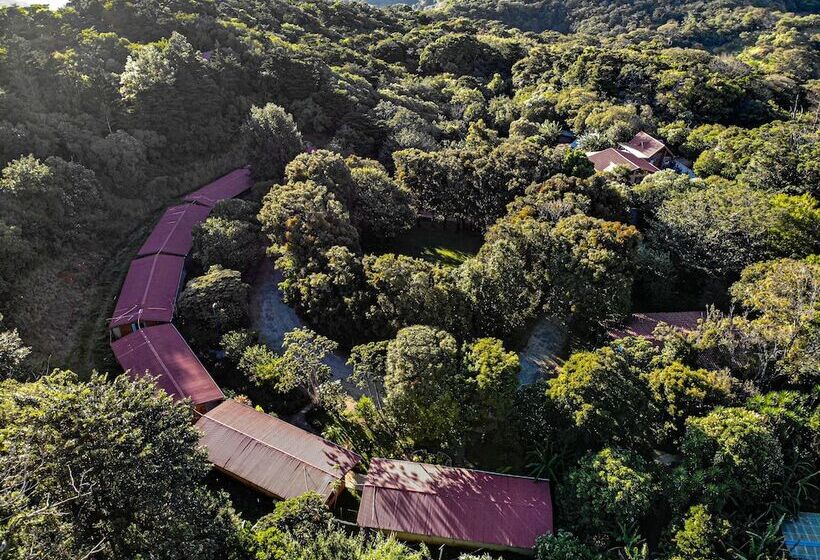 هتل El Bosque Lodging