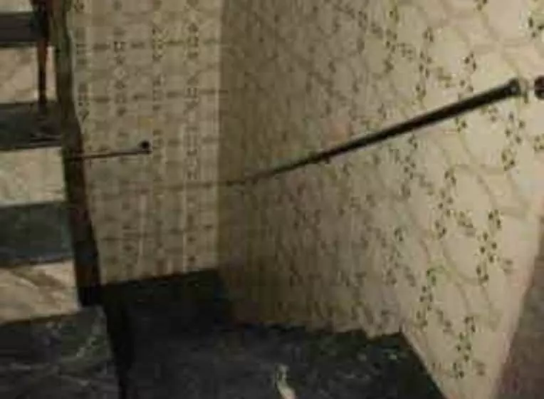 Hotelli Shyam Inn   Mathura