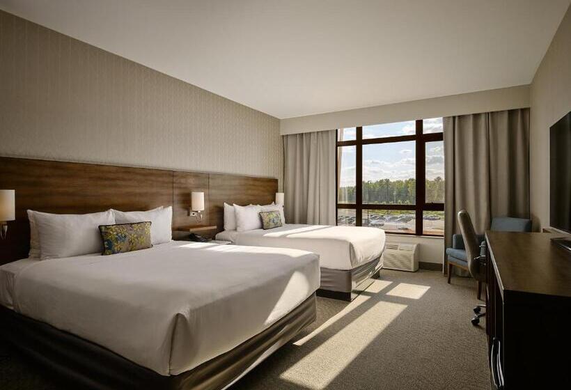 ホテル Great Blue Heron