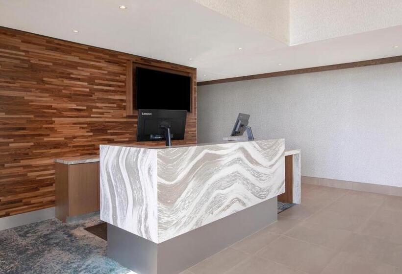 ホテル Great Blue Heron