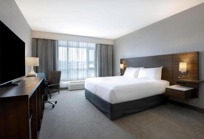 ホテル Great Blue Heron