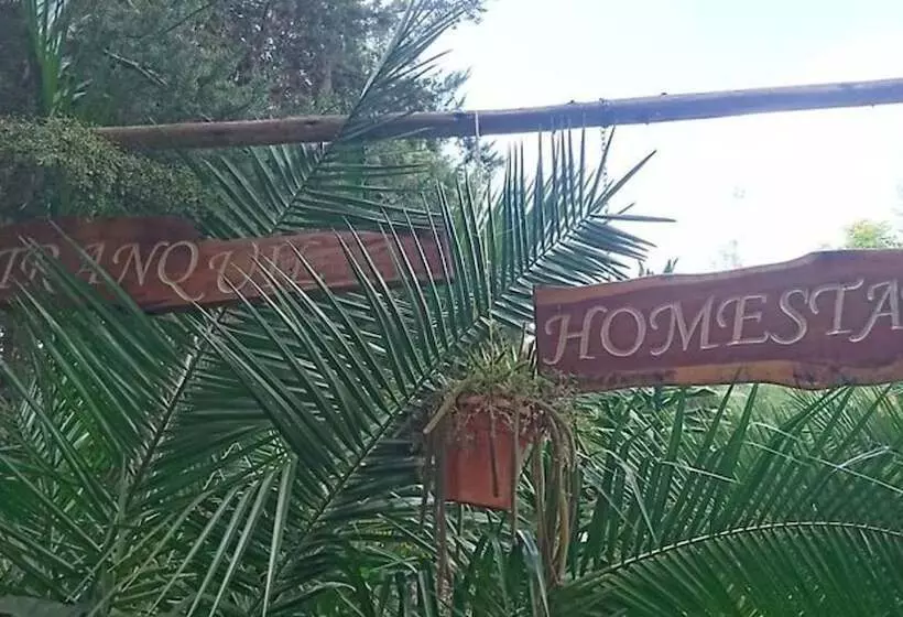 هتل Tranquil Homestays