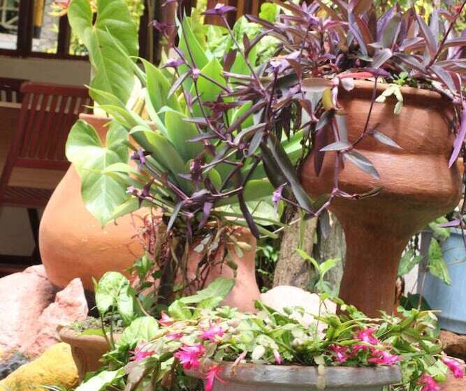 هتل Tranquil Homestays