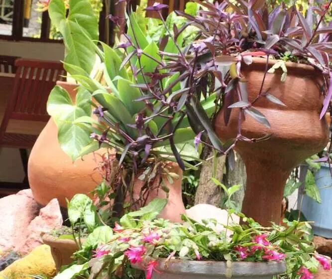 هتل Tranquil Homestays