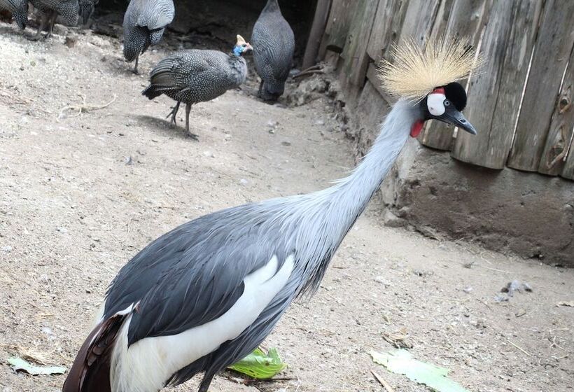 هتل Tranquil Homestays