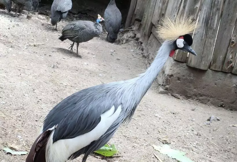 هتل Tranquil Homestays