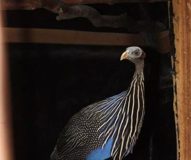 هتل Tranquil Homestays