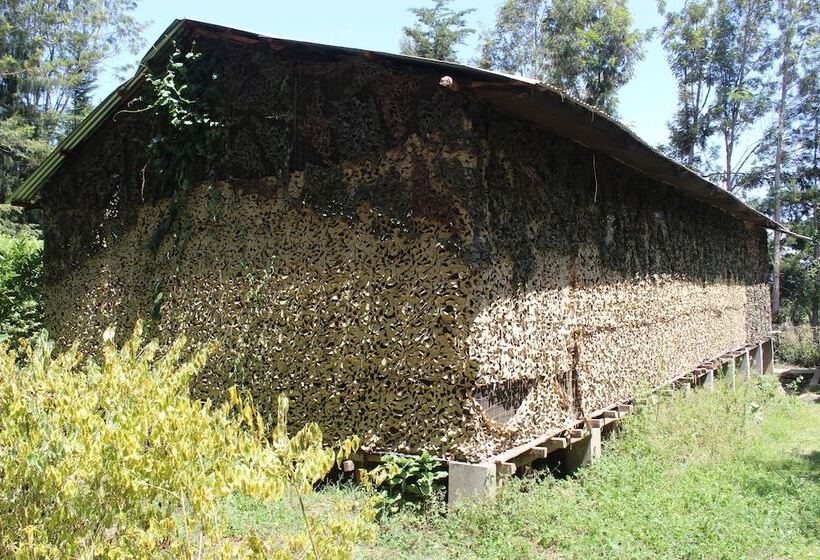 هتل Tranquil Homestays