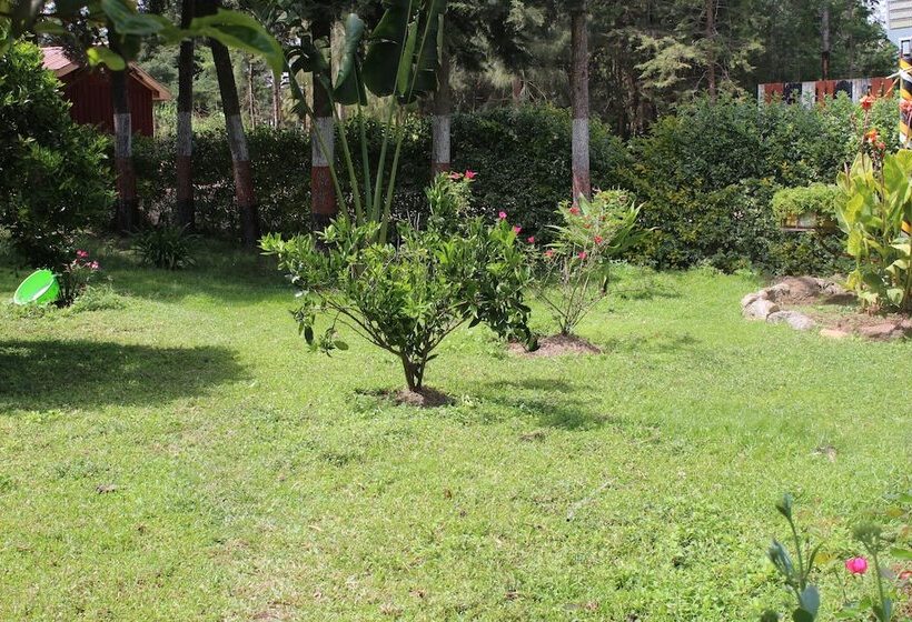 هتل Tranquil Homestays