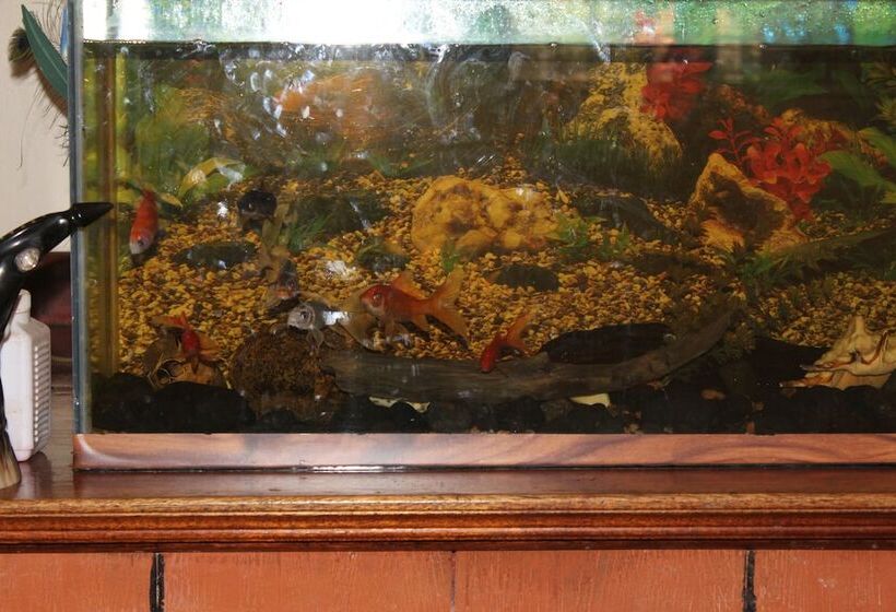 هتل Tranquil Homestays