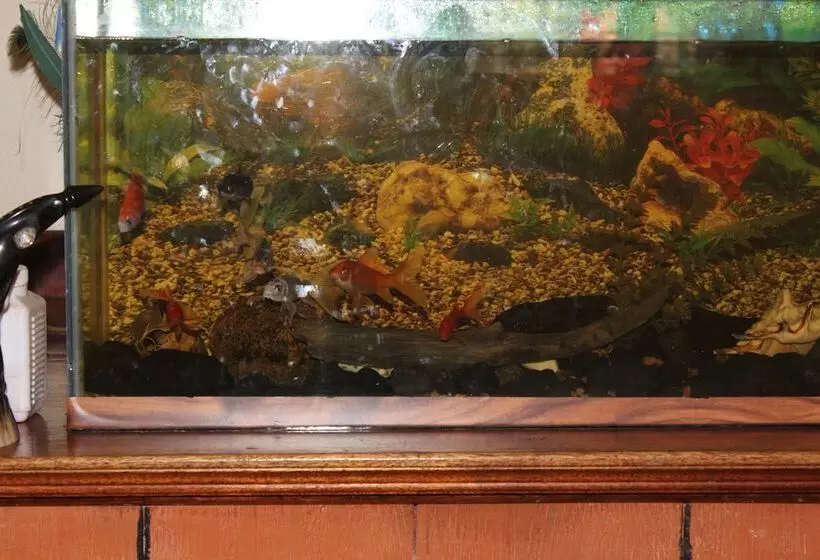 هتل Tranquil Homestays