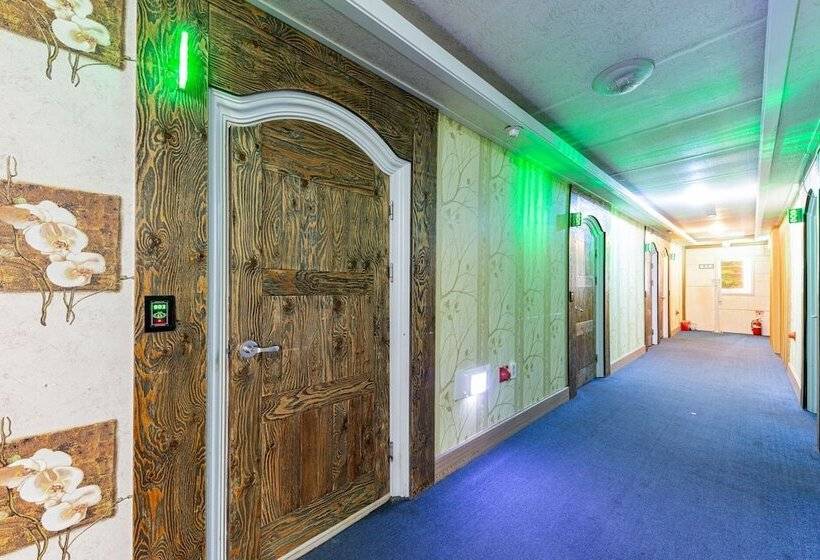 Motell Daecheon Sintanjn Green