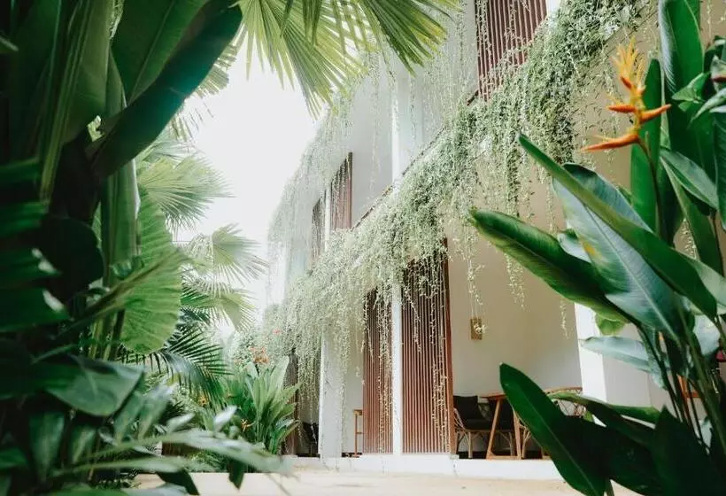 Porter Hotel   Surf & Yoga Retreat