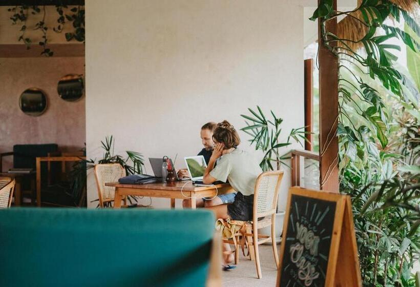 Porter Hotel   Surf & Yoga Retreat