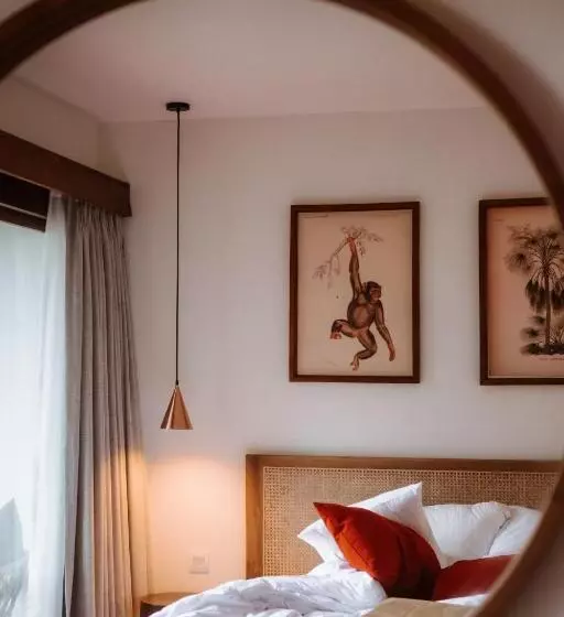 Porter Hotel   Surf & Yoga Retreat