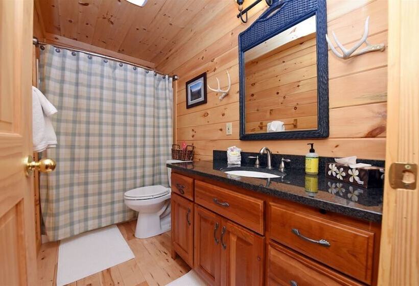 Whispering Creek Lodge Blue Ridge