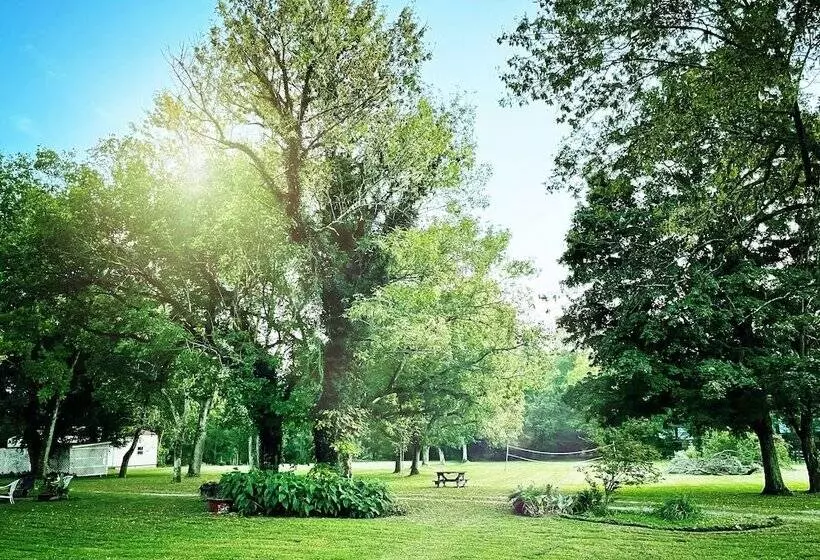 Aamiaismajoitus (B&B) Armour S Hotel & Spa