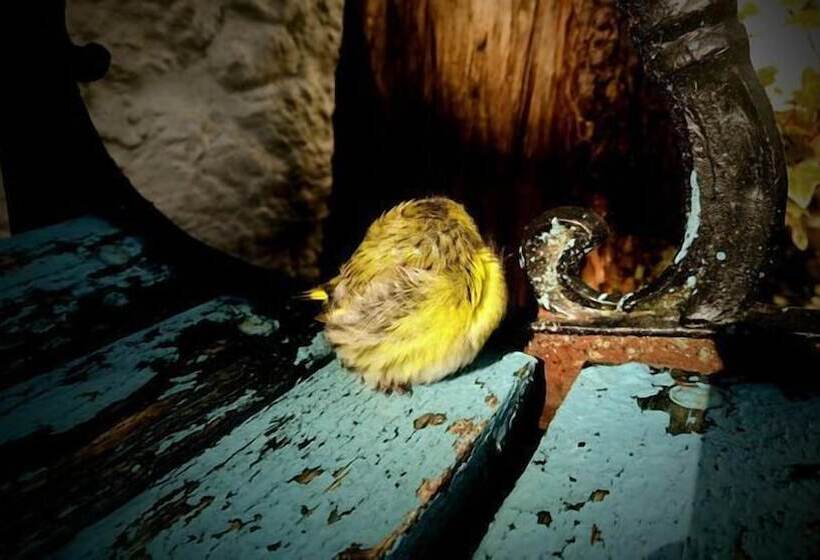 민박 Orchy Bank House