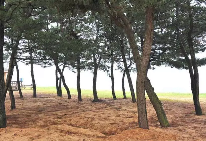 Boryeong Beach House Pension